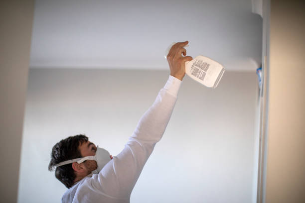 Best Post-Flood Mold Remediation in Germantown, MD