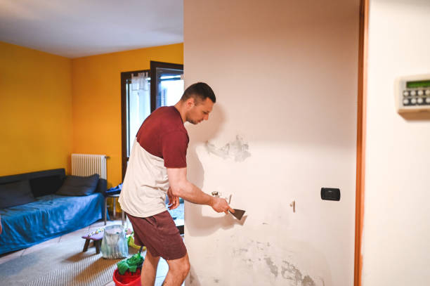 Best Industrial Mold Remediation in Germantown, MD